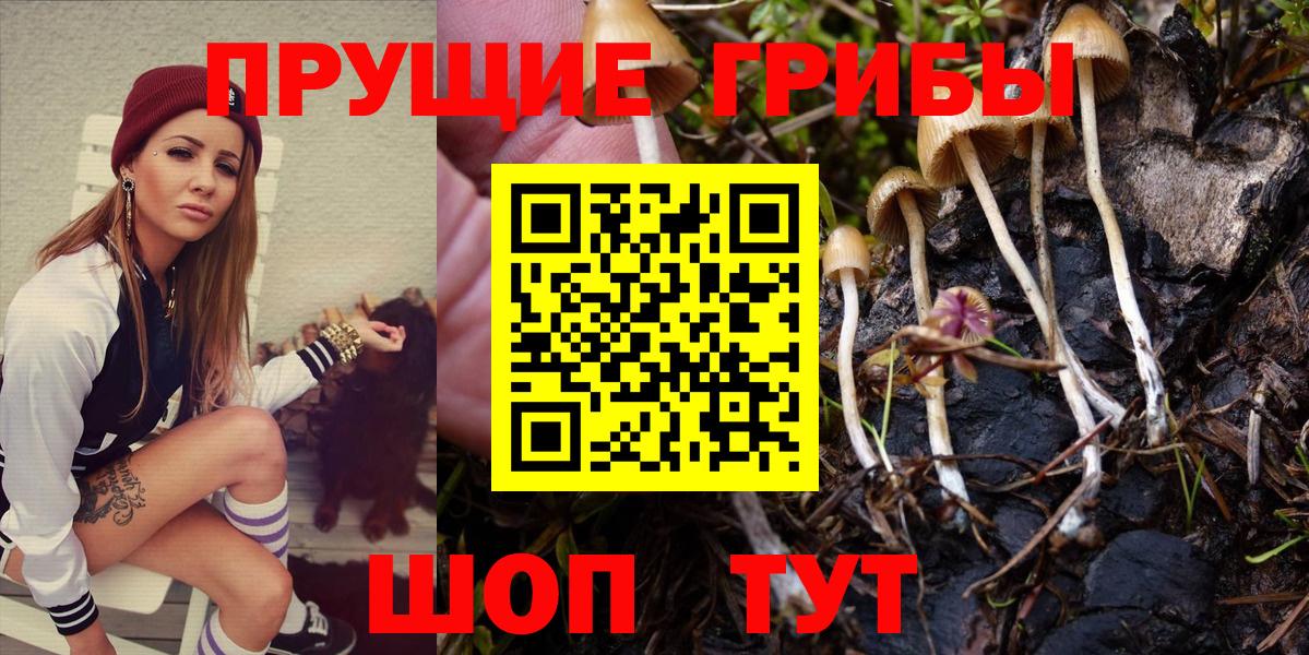 Псилоцибиновые грибы ЛСД Куйбышев