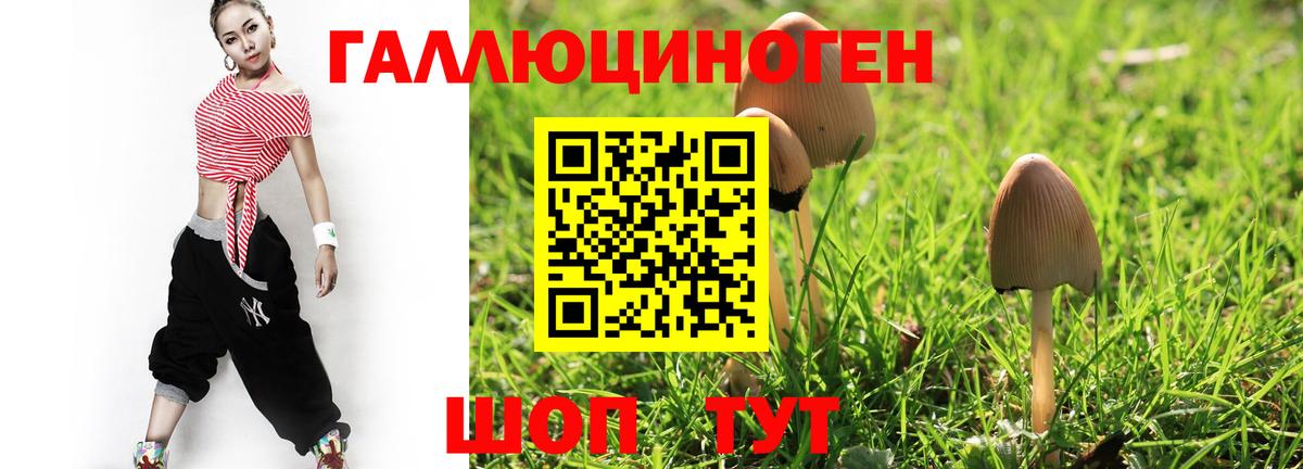 Куйбышев  Псилоцибиновые грибы MAGIC MUSHROOMS  Псилоцибиновые грибы Psilocybine cubensis  Вход с VPN 